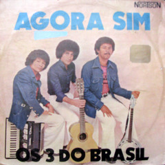 Os 3 do Brasil - Me chamam de Cão Condenado (1977)