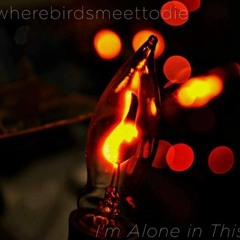 wherebirdsmeettodie - Lamp Post