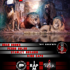 4 LEONES -Not Here- Perro Goldo - King Capo - Stanley Rosario - Brad Bronx