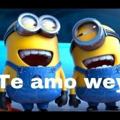 TeAmo andy arryaga ft maryana keyla en los coros