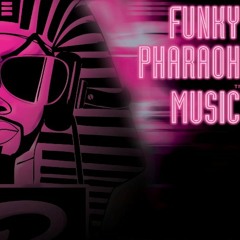 DJ Funky Pharaoh - Shakedown 2013 MIX