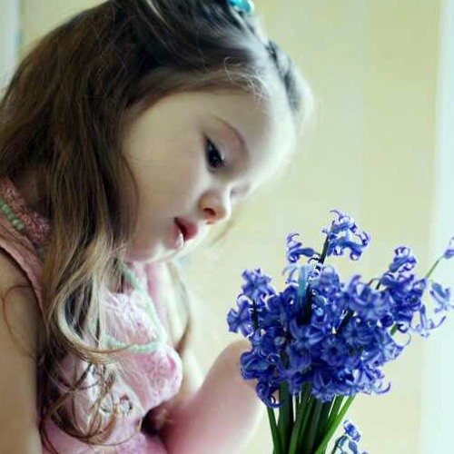 Stream 八连杀 改篇版at Taman Jaya Mas By Alice Chan V Listen Online For Free On Soundcloud