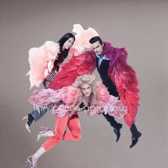 Terry Poison "Gorgeous"