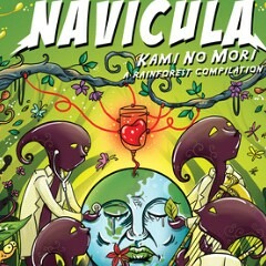 Navicula - Bubur Kayu