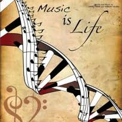 MaÃ®tre Gims   Bella (REMIX DJ PASCAL)2k13