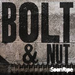 Bolt & Nut
