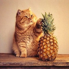 Autumn's End Feat. Amelia Eiger (Acoustic)