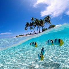 wakatobi island! visit www.wakatobi.com