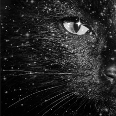 Miss Kittin - Maneki Neko (That Track For The Cat Mix)