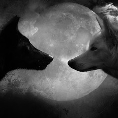 Life Size Ghosts (Catching Flies Remix)