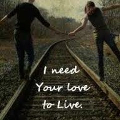 I Need Your Love (Gestört Aber Geil Remix June 2013)