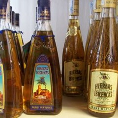 Mia Lucci - Signing In #36 - Guest Mix W  Ben Ashton