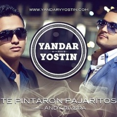 Yandar & Yostin feat Andy Rivera - Te Pintaron Pajaritos - Miguel Vargas Mr Saxo Remix