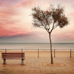 مشاعر _ شرين