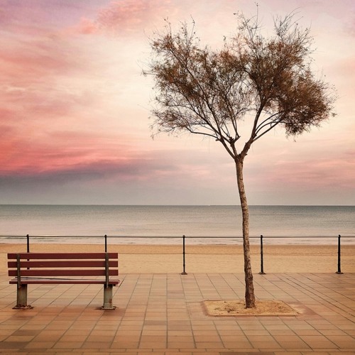 مشاعر _ شرين