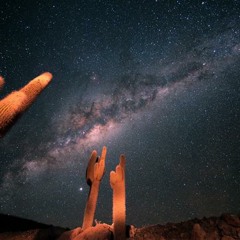 Natural//San Bisonte