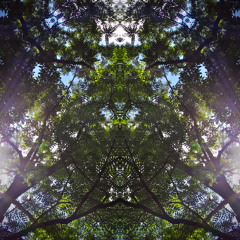 my first take on some downtempo.