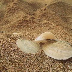 Viky Red - Miroase A Dragoste De - O Vara