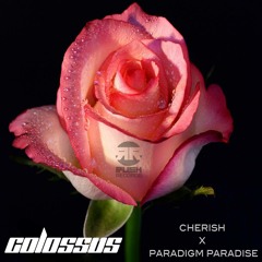 Colossus - Cherish/Colossus - Paradigm Paradise (OUT NOW ON RUSH RECORDS)