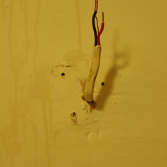 Haydn Tomato - [disquiet0082-minimalhaydn]