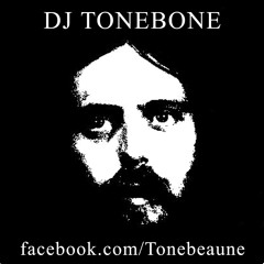 DJ Tonebone - Daniel & Lisa's Wedding Party