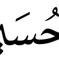 حمزة الصغير لطمية شيكول الكلب دسمع ياحيدر