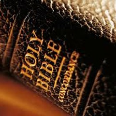 Stamina - John Wonder x Awol