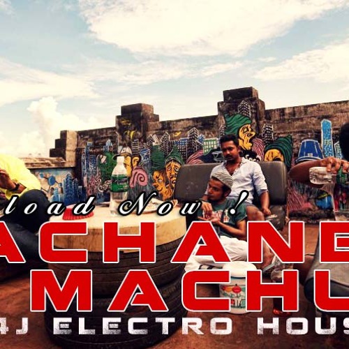 Machane.Machu_honey Bee (DJ VIN4J ELECTRO HOUSE MIX)