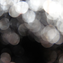 Toluric Snowshoe I (Demo)