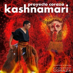Proyecto Coraza - Kashnamari