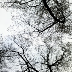 trip