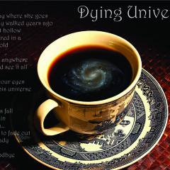 Dying Universe