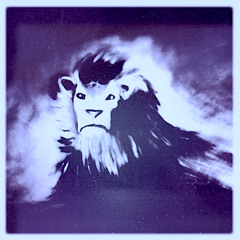 Subtle Mind & UZZI - King of Kings - Clip