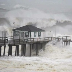 Pre-Mediated Mind Dust- No Me Cambien