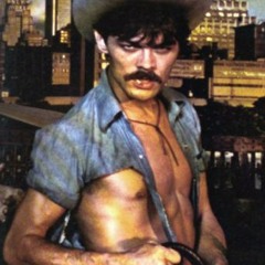 Bög I Vilda Västern