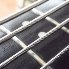 Tool - The Pot - [Ray Bass Cover]