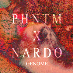 PHNTM X NARDO COLLAB - GENOME