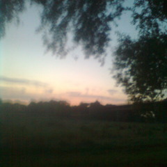 Moelitox - DarkPsy002