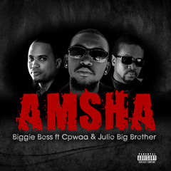 Amsha -- Biggie Boss Ft. Cpwaa & Julio Big Brother