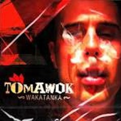 Original Tomawok Dubplate DEDA Sub System