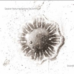 Savaran - Strandline feat. Barbara De Dominicis (full streaming EP - Somehow Recordings)