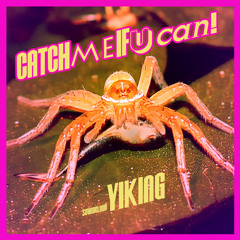 Catchmeifucan