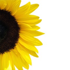 Come On Baby Let The Good Times Roll