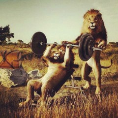 W3lcome To The Jungle B*tch