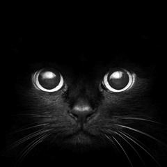 On The Mix Running 002