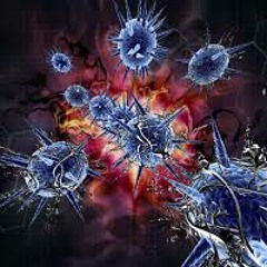 Virus