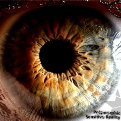 Polymorphic -  Sensitive Reality (FREE)