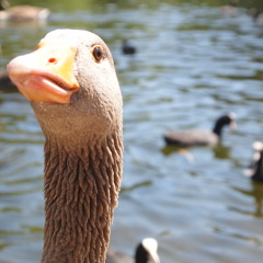 Don't Go Changin' (The General)