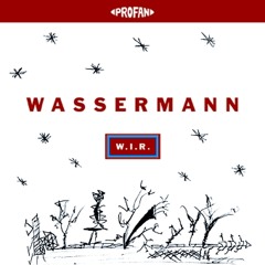 Wassermann - W.I.R. (Paul Kremers Rework) / FREE DOWNLOAD