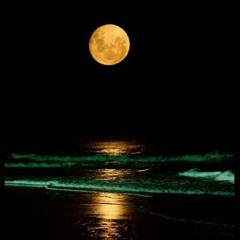 Come Into My Arms.  New Song.. By Kevin Phoenix .live.  July 2013..